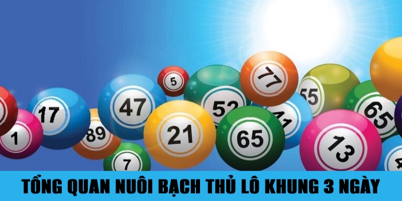 Nuôi Bạch Thủ Lô Khung 3 Ngày Đúng Chuẩn Không Lo Lỗ 1 Trang Chủ Jun88.com #1 Việt Nam Sơ lược về chiến thuật nuôi bạch thủ lô khung 3 ngày